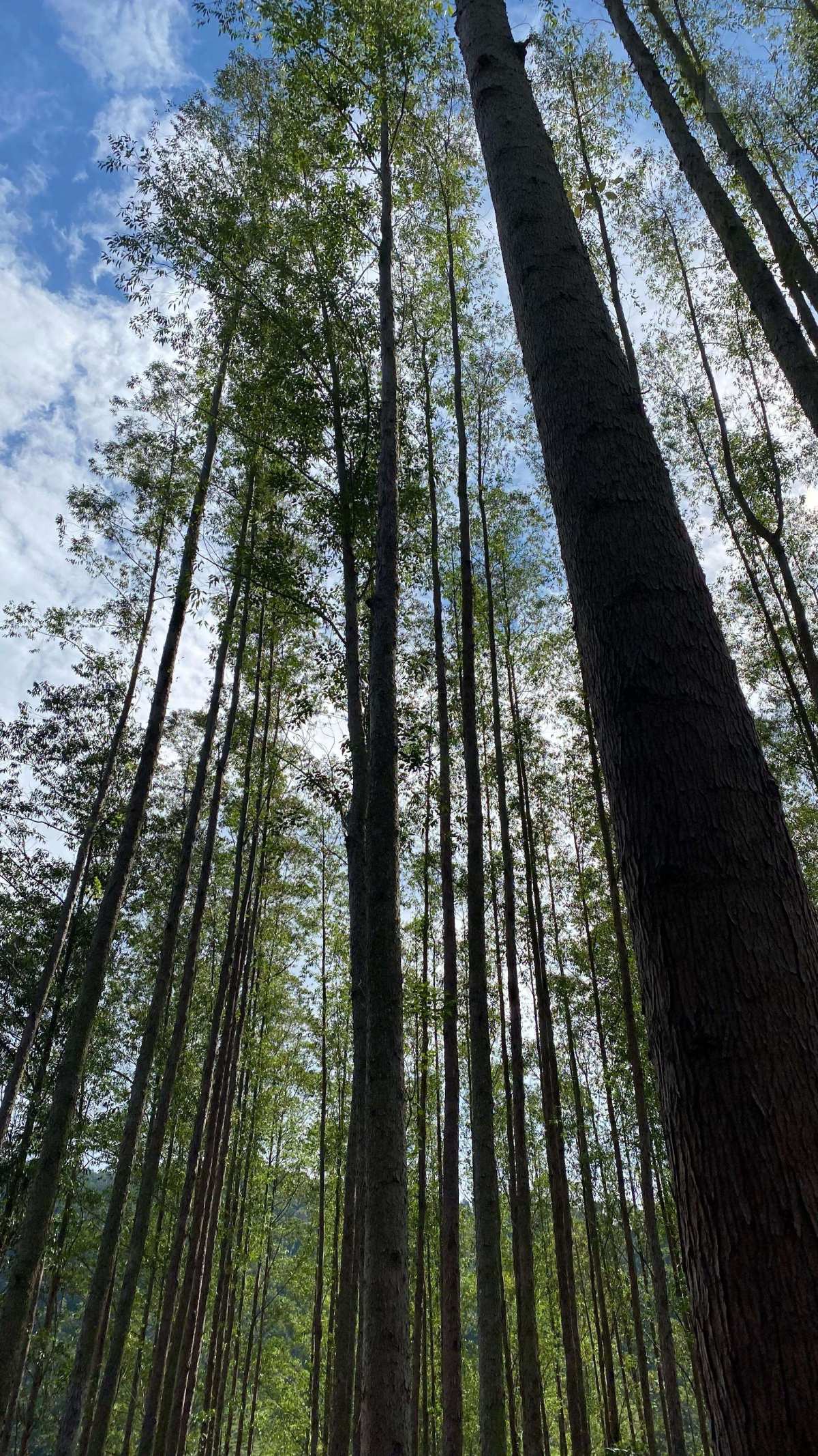 Área à venda - ,Guarapari